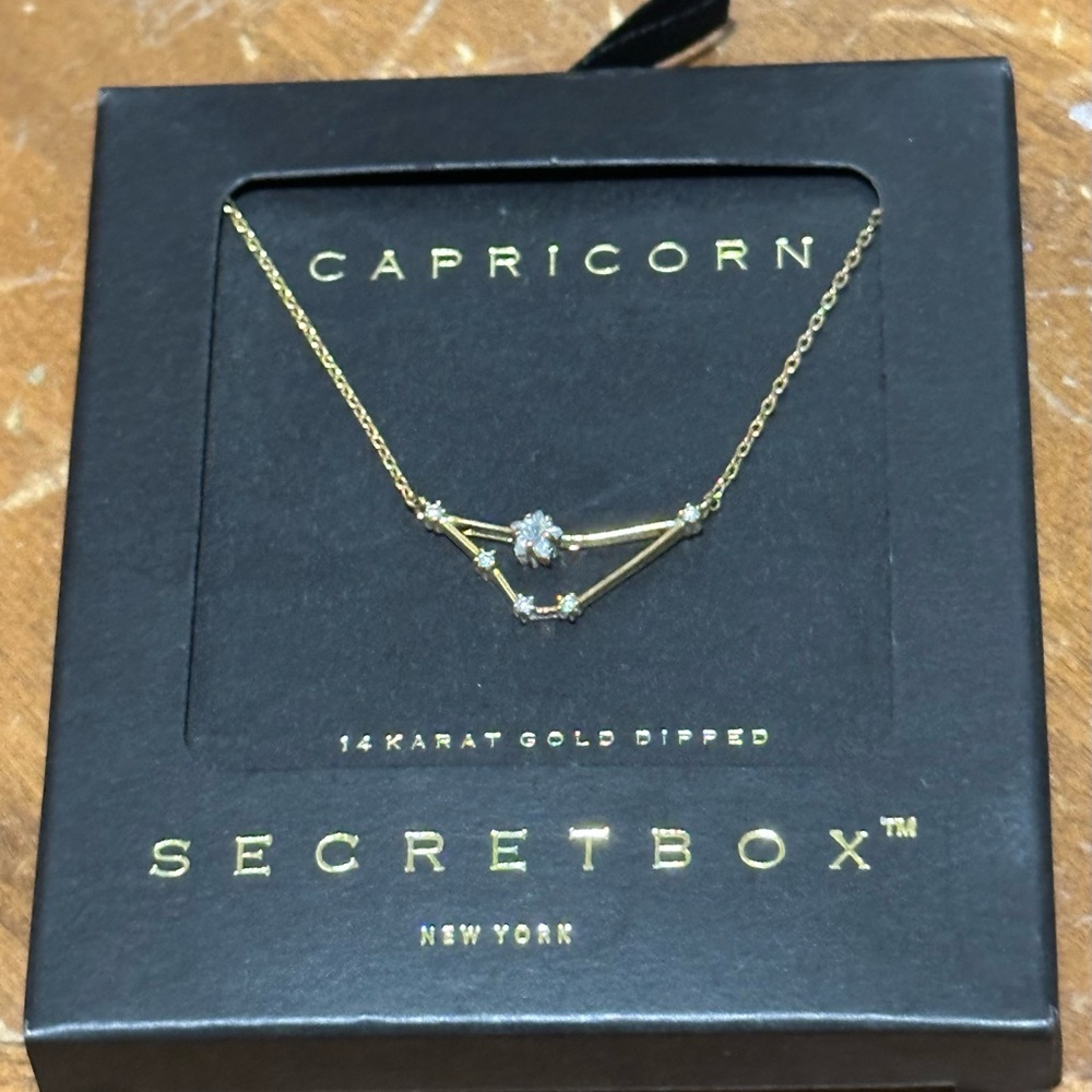 Voda Boutique 14k Dipped Capricorn Necklace NIB
